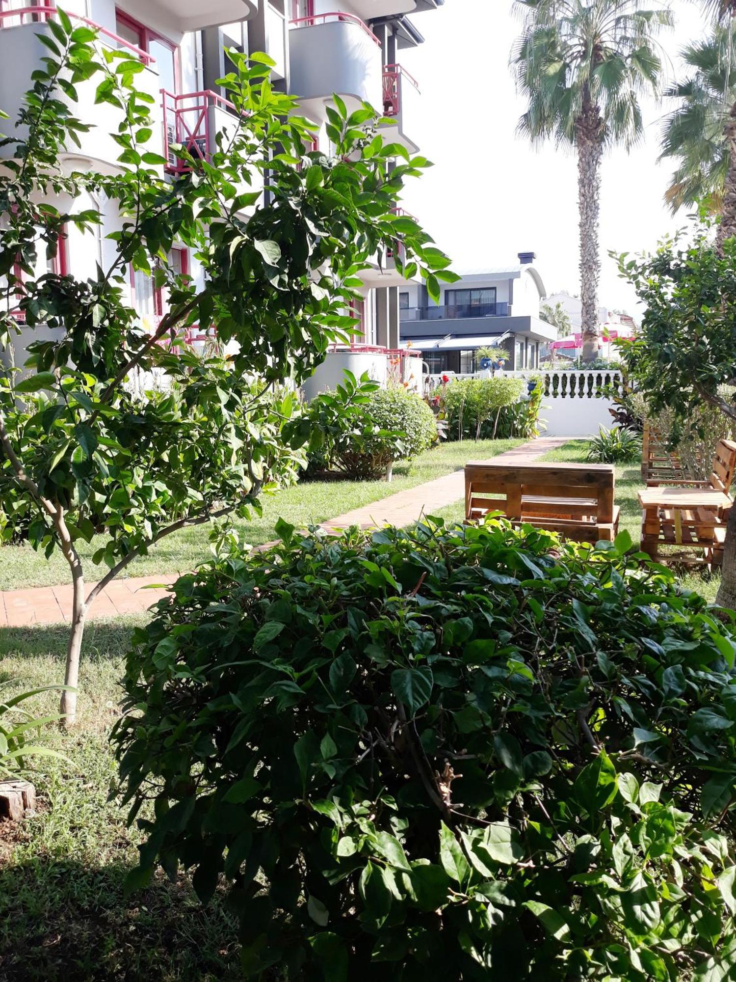 Mendos Garden Exclusive Hotel Φετιγιέ Εξωτερικό φωτογραφία